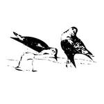 Ilustração em vetor silhueta de pássaros